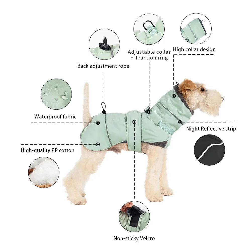 Manteau pour chien PatMoov