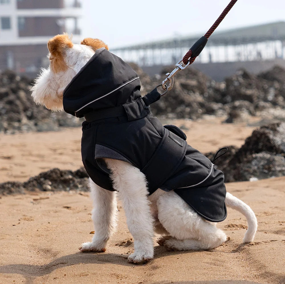 Manteau imperméable réfléchissant pour chien PatMoov