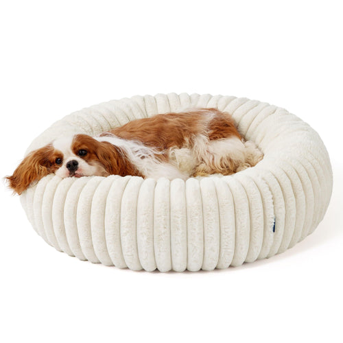 Panier apaisant PatMoov, chien endormi, fond blanc