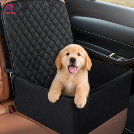 Chiot installé dans le siège auto PatMoov