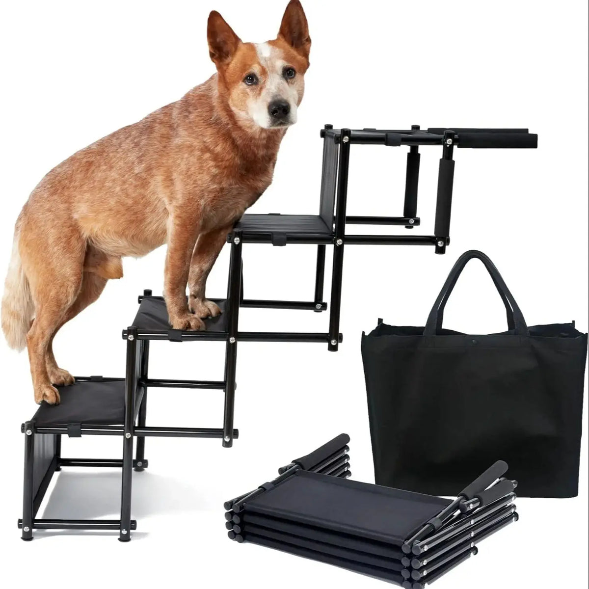 Escalier de voiture pliable pour chien PatMoov avec son sac