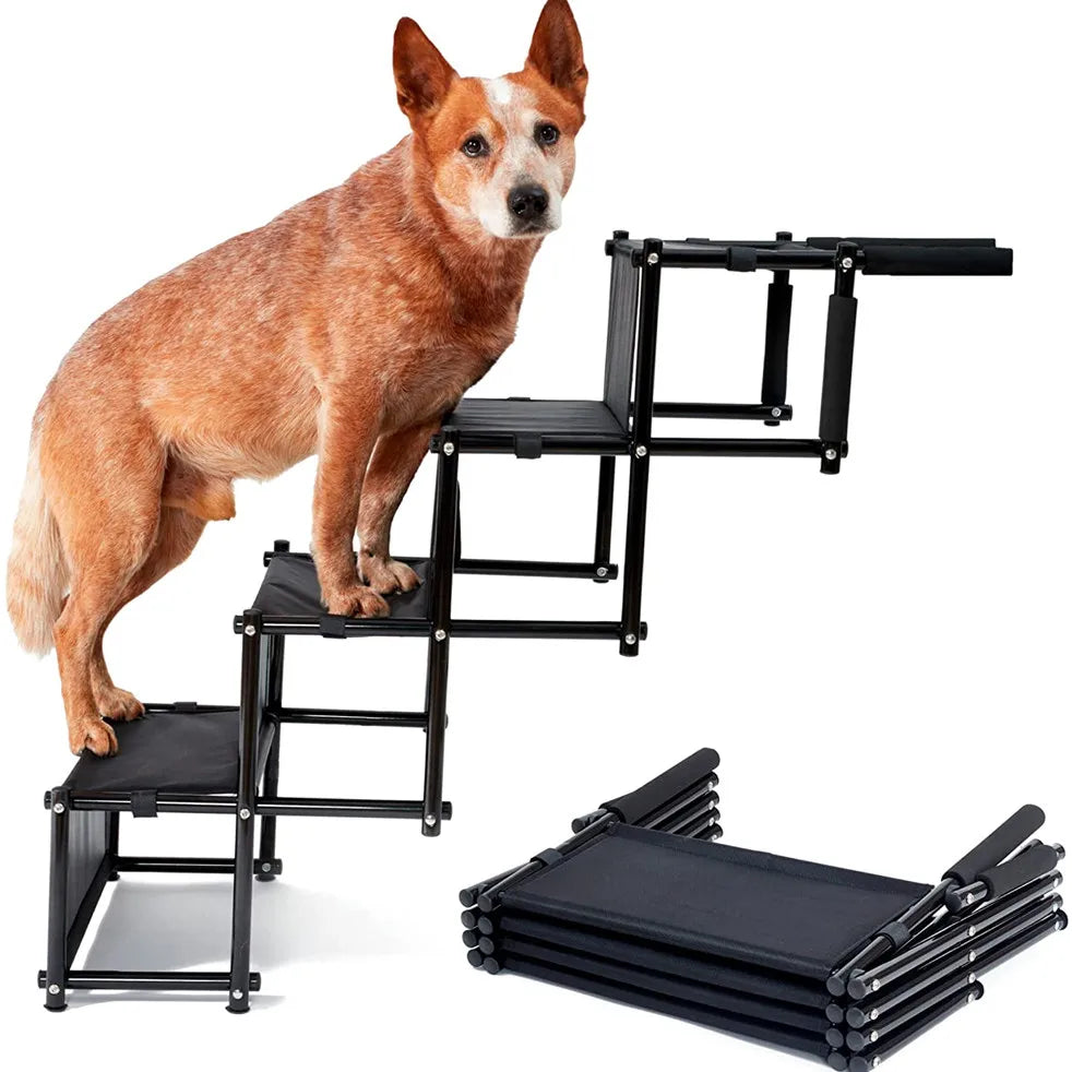 Escalier pour chien déplié et replié